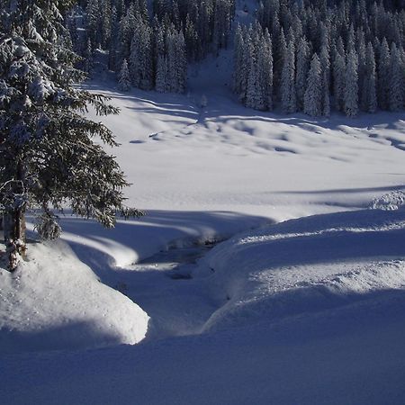 Hotel Des Alpes ادلبودن المظهر الخارجي الصورة