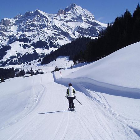 Hotel Des Alpes ادلبودن المظهر الخارجي الصورة