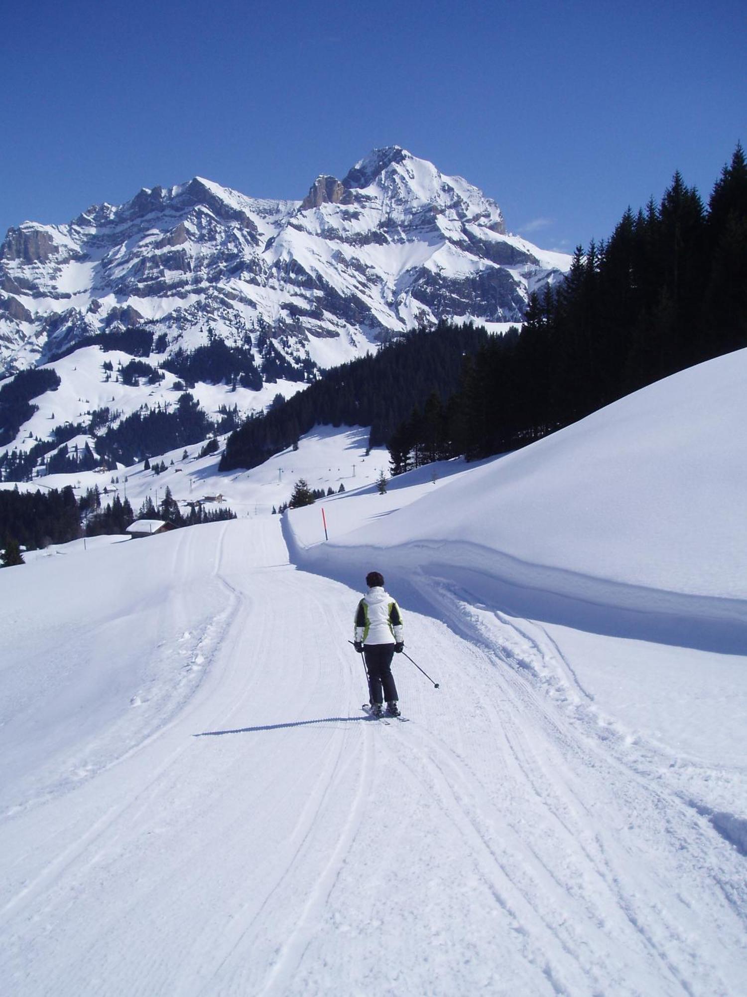 Hotel Des Alpes ادلبودن المظهر الخارجي الصورة