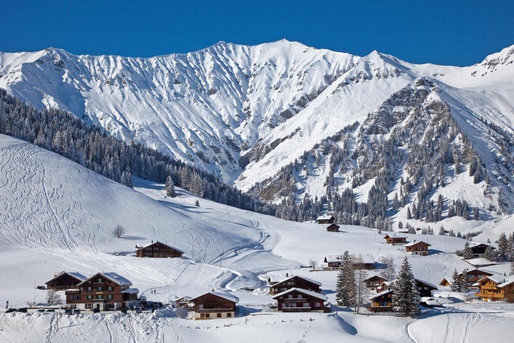 Hotel Des Alpes ادلبودن المظهر الخارجي الصورة