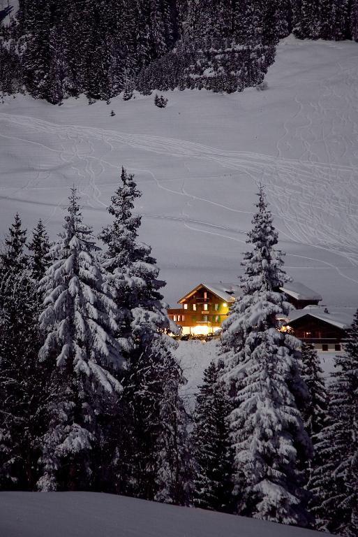 Hotel Des Alpes ادلبودن المظهر الخارجي الصورة