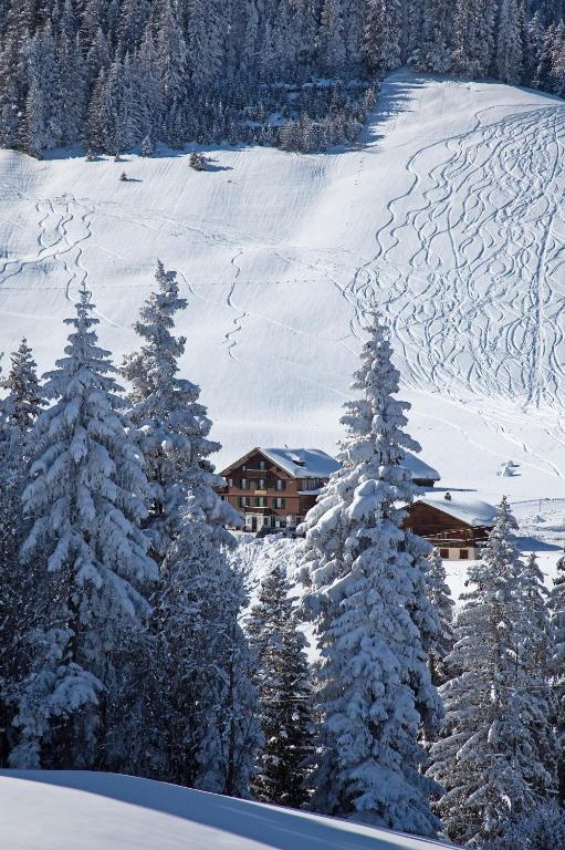 Hotel Des Alpes ادلبودن المظهر الخارجي الصورة