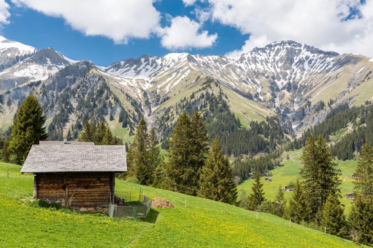 Hotel Des Alpes ادلبودن المظهر الخارجي الصورة